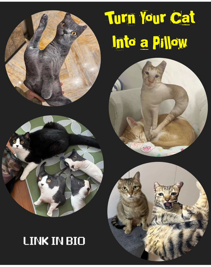 An advert for “Turn your cat into a pillow.” All the pillows look hilariously deformed and weird.