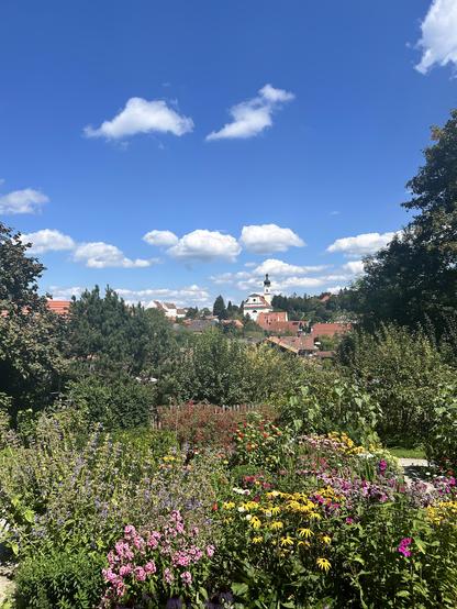 Der Blick aus dem spätsommerlich blühenden Garten im Gabriele Münter-Haus rüber auf die St. Nikolaus-Kirche von Murnau. In den Beeten blühen gelbe und violette Sommerhüte, Phlox. Blauer Himmel mit weißen Wolken.