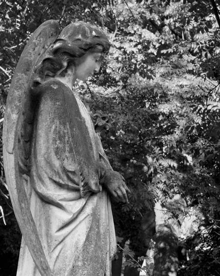 Angel at a tomb in Highgate Cemetery East, North London. Profile, black and white.