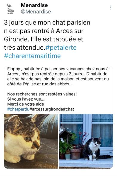Floppy petit chat gris noir et blanc avec le nez noir a disparu depuis 3 jours de sa maison de vacances d' #arcessurgironde
Elle se balade souvent du côté de l'église et rue des abbés. 
Merci 🐾