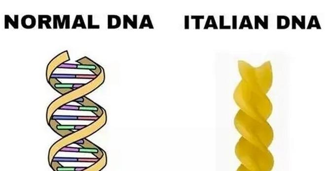 Normal DNA: double helix; Italian DNA: Fusili.