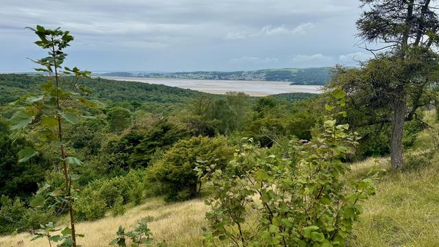 A view from close to the trig point on Arnside Knott.