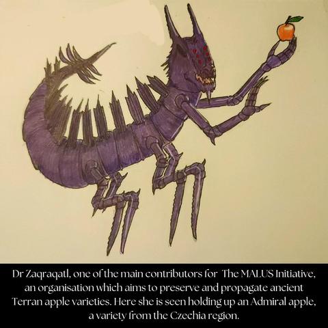 Dr Zaqraqatl, one of the main contributors for The MALUS Initiative, an organisation which aims to preserve and propagate ancient Terran apple varieties. Here she is holding up an Admiral apple, a variety from the Czechia region.