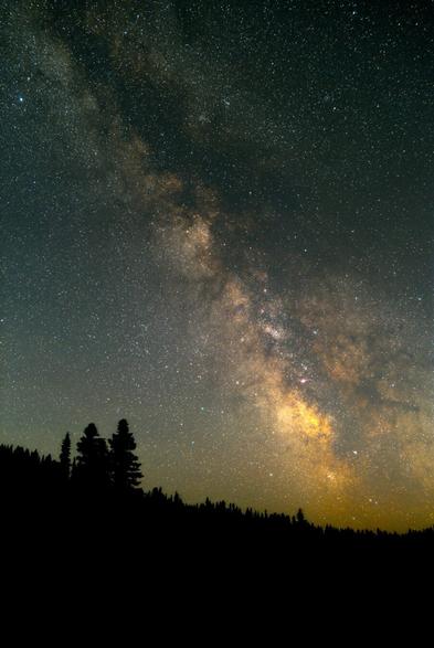 A photo of the Milky Way Galaxy with trees silhouetted in the foreground.