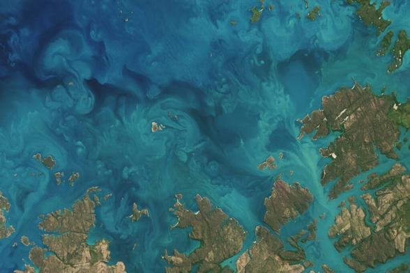 This satellite image of the northwestern coast of Australia shows elaborate swirls of sediment kicked up by rivers and tides.