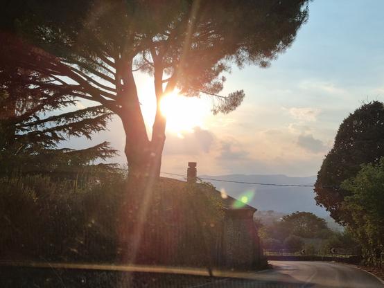 Tramonto tra i rami degli alberi