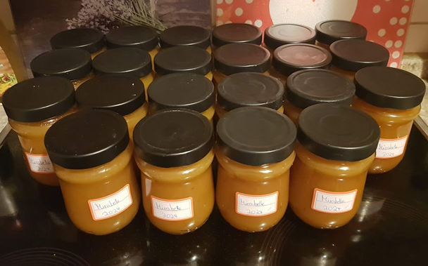 22 twist-off jars of mirabelle jam on a ceran cooktop