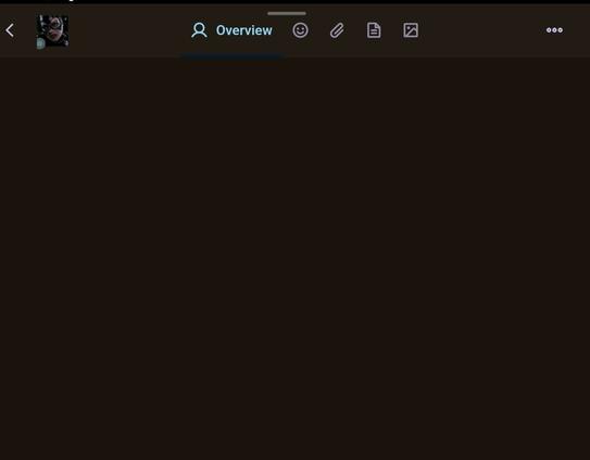 Blank page beneath overview section of profile.