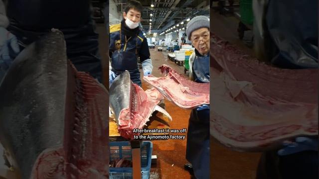 Forget Tsukiji fish market and do this private tour instead | Yokohama, Japan