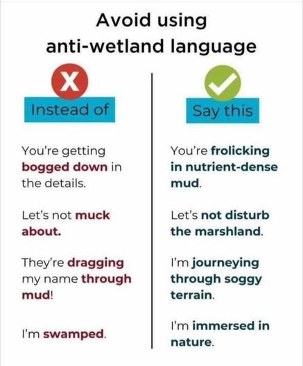 A chart that says "Avoid using anti-wetland language"

Instead of "You're getting bogged down in the details," say "You're frolicking in nutrient-dense mud."

Instead of "Let's not muck about," say "Let's not disturb the marshland."

Instead of "They're dragging my name through the mud," say "I'm journeying through soggy terrain."

Instead of "I'm swamped," say "I'm immersed in nature."