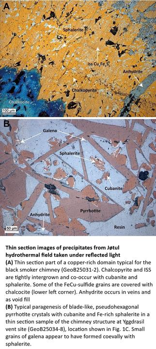 thin section photos - Thin section images of precipitates from Jøtul hydrothermal field taken under reflected light. (A) Thin section part of a copper-rich domain typical for the black smoker chimney (GeoB25031-2). Chalcopyrite and ISS are tightly intergrown and co-occur with cubanite and sphalerite. Some of the FeCu-sulfide grains are covered with chalcocite (lower left corner). Anhydrite occurs in veins and as void fill. (B) Typical paragenesis of blade-like, pseudohexagonal pyrrhotite crystals with cubanite and Fe-rich sphalerite in a thin section sample of the chimney structure at Yggdrasil vent site (GeoB25034-8), location shown in Fig. 1C. Small grains of galena appear to have formed coevally with sphalerite.