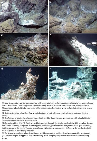 photos  -  (A) Low-temperature vent sites associated with magmatic host rocks. Hydrothermal activity between volcanic blocks with chilled columnar joints is documented by white precipitates of mostly barite, white bacterial filaments and siboglinid tube worms. Small limpets are attached to the white surface in the front and below the rock. (B) Sediment-dusted pillow lava flow with indications of hydrothermal venting from in between the lava tubes. (C) Seafloor outcrop of mineral precipitates dominated by dolomite, partly associated with siboglinid tube worms covered with white microbial mats. (D) Sampling of hot (316 °C) fluids at the black smoker through the intake nozzle of the KIPS sampling device. The sulfide chimney, composed of chalcopyrite, sphalerite, pyrrhotite and anhydrite did not grow vertically, but leans over to the north. This can be explained by bottom-water currents deflecting the outflowing fluid from a vertical to a northerly direction. (E) Barite and amorphous silica-rich chimney at Nidhogg venting edifice, densely populated by amphipods. (F) Top-most region of Yggdrasil vent site showing multi-flanged precipitation structures and shimmering water.
