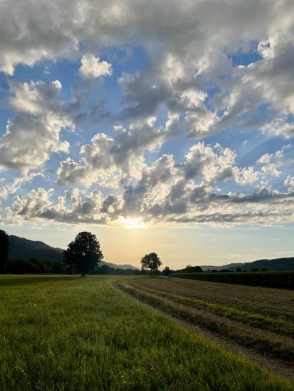 Abendstimmung im Dreisamtal bei Zarten, die Sonne durch Wolken leicht verdeckt. Blickrichtung Freiburg (Westen).
