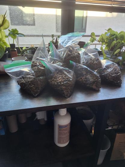 9 baggies of kibble on a counter top in front of struggling houseplants.