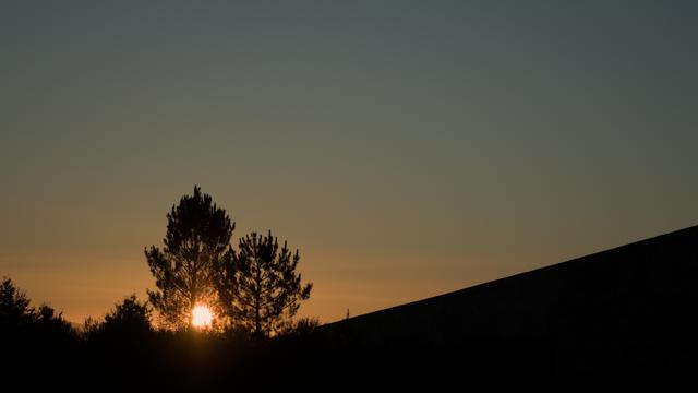 Posta de sol dende o Gaias. O sol está a agocharse detrás de dous piñeiros no lado esquedo da imaxe. No lado dereito vese parte do edificio do Museo Central do Gaias en sombra.