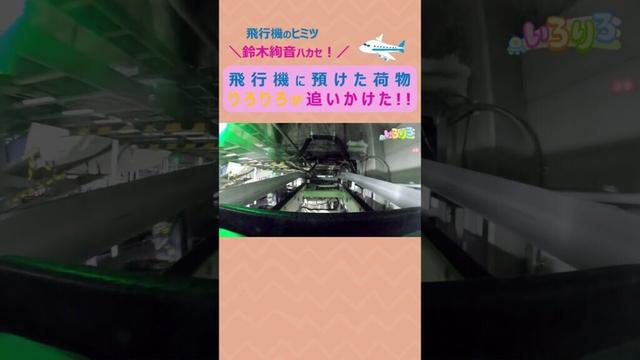 【ytvいろりろ】#鈴木絢音 さん✈️飛行機のヒミツ🤫🩷預けた荷物はどうやって飛行機に運ばれる❓#りろりろ が追跡します🫣
