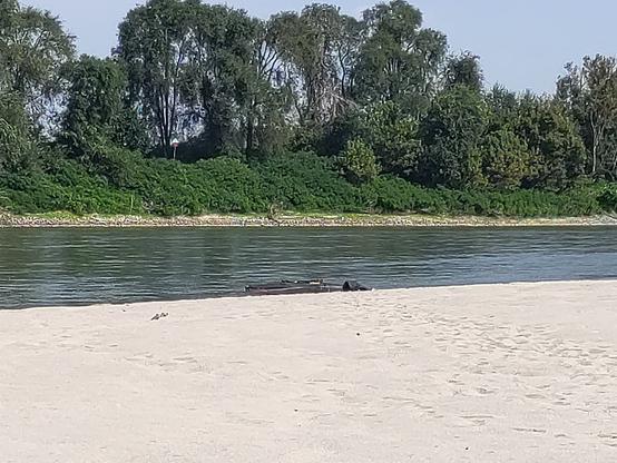 A beach at a river with a folding kayak in front.