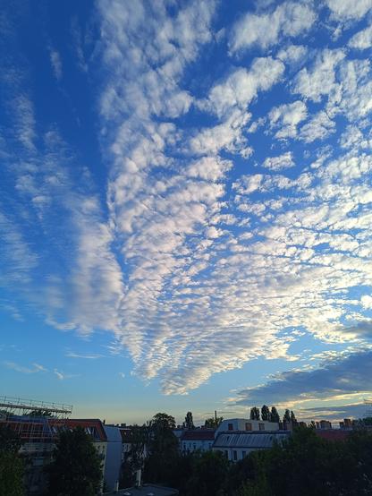 Berliner Skyline mit Cirrocumulus-Wolken. Abendstimmung, kurz vor Sonnenaufgang.
