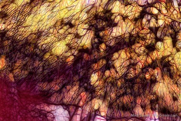 An abstract network of black lines and spaces around yellow “tissues” and red/pink bodies in the bottom. The piece resembles the imaging of a large blood clot.