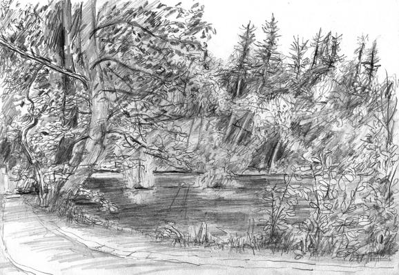 A small lake in the evening