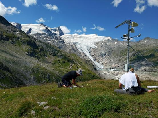 Ecologists taking plant and animal samples in alpine snowbeds. In the background glacier-covered high mountains.