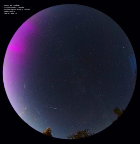 Allsky-Aufnahme mit Perseiden und Aurora