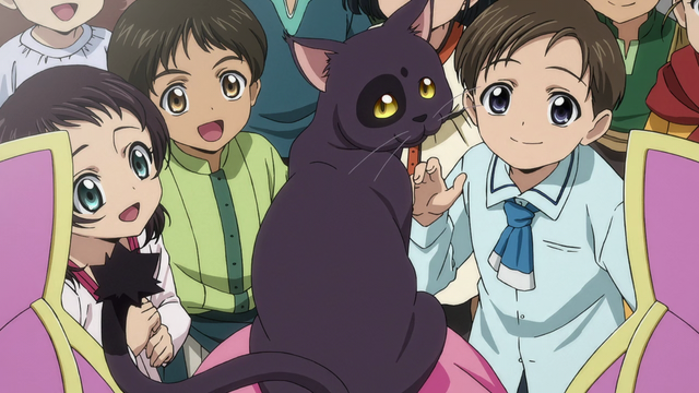 A purple cat with distinctive dark markings