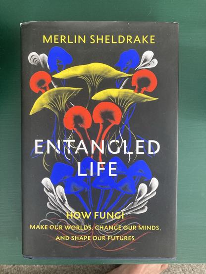 MERLIN SHELDRAKE
The book cover us a variety of mushrooms / fungi in different bright colours on black: ENTANGLED
LIFE
HOW FUNGI
MAKE OUR WORLDS. CHANGEOUR MINDS, AND SHAPE OUR FUTURES