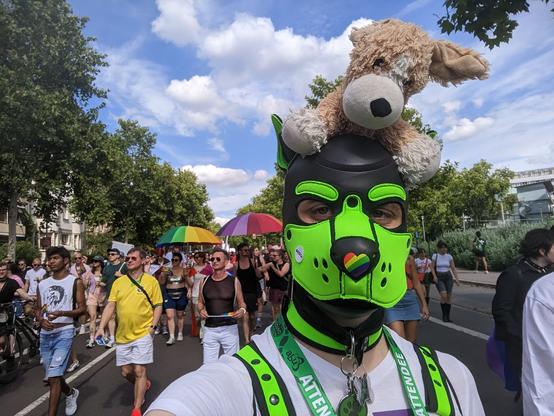 Green human pup with rainbow heart sticker at muzzle and plush dog on head