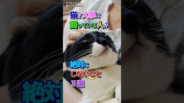 猫を大事に飼っている人が絶対にしないこと３選 #保護猫 #猫の行動 #猫のいる暮らし
