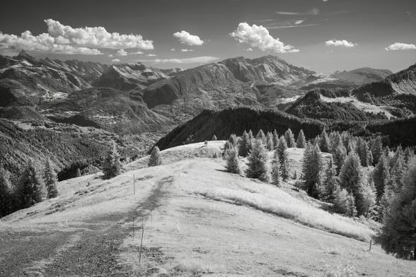 Black and white, infrared photography: A valley and mountains flow from left to right through the image, clouds are dotting the grey sky. In the front, a gentle slope is framed by fir trees.