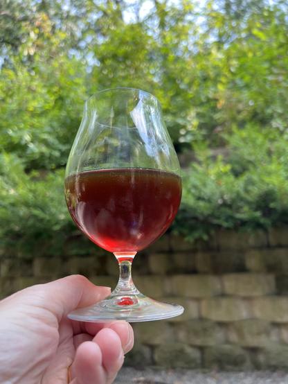A snifter of ruby red barleywine is held up in front of an out of focus lush forest background scene