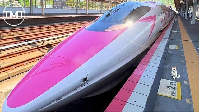 Hello Kitty Shinkansen: The Cutest Bullet Train from OSAKA to FUKUOKA