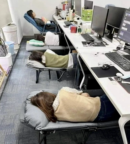 Arbetsplats med skrivbord & anställda som sover i tältsängar inskjutna under skrivborden.