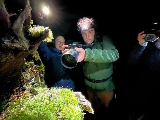 A photo of students photographing a tree wētā (a large cricket-like insect) at night in the forest.

Full-res photo is on Flickr at https://www.flickr.com/photos/mollivan_jon/53932992575/