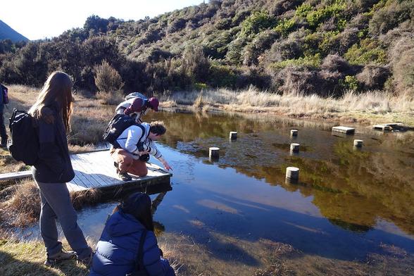 A photo of students exploring the life in a mountain pond.

Full-res photo at Flickr at https://www.flickr.com/photos/mollivan_jon/53932966845/