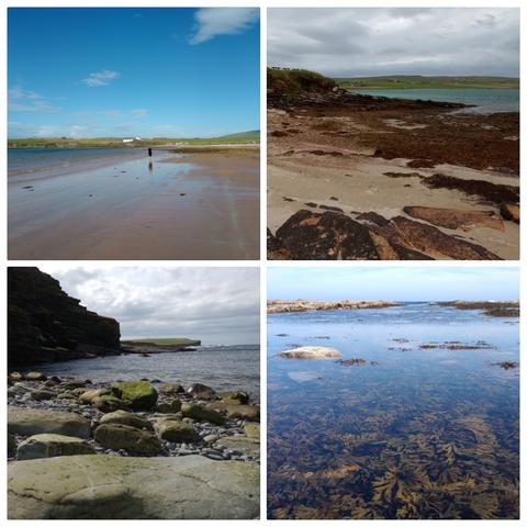 a collage of four deserted and tranquil beach scenes from orkney