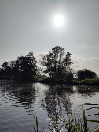 Sonne über Bäumen am Fluss.