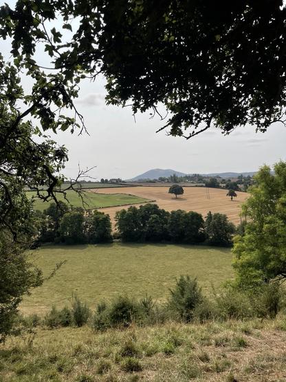Distant view of Malvern Hills over harvested corn fields and pasture fields, framed by the boughs of trees.