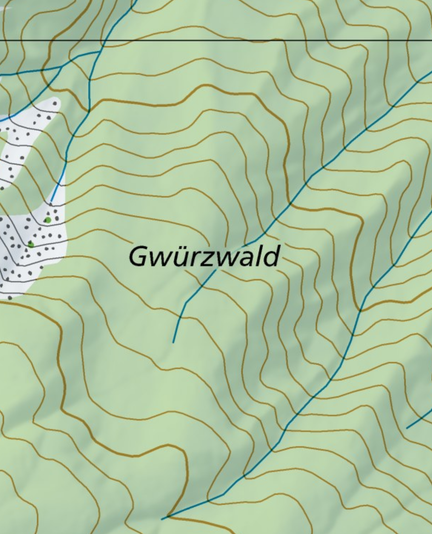 Kartenrelief mitHöhenlinien im Waldn. Starker Geländeabfall zu sehen. Einige Bäche sind zu sehen. In der Mitte steht der Flurname "Gwürzwald"