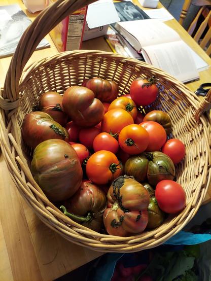A handled wicker basket filled with a mix of Roma tomatoes and heirlooms.
