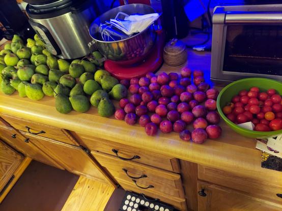 On a cluttered counter, green pears, small purple plums, and a bowl of cherry tomatoes