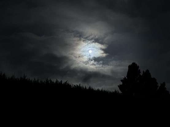 Tonight’s full moon shining through the clouds with the silhouette of the shrubs of in our garden in the lower half of the photo.