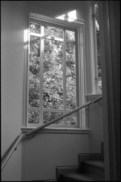A black and white photograph of a window in a stairwell. Outside the window is foliage from a large tree. The sun is shining in from another window, illuminating some details in the upper part of the window. The details around the window is old-fashioned woodwork and the window is split into several smaller frames.