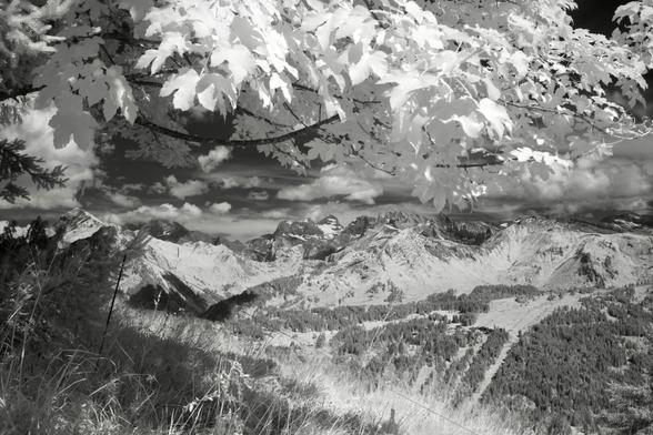 Black and white, infrared photography: a tree branch with white, sunlit leaves, frames the photo from the top. In the distance, a mountain range. Towards the viewer, a slope with trees and a grassy plain.