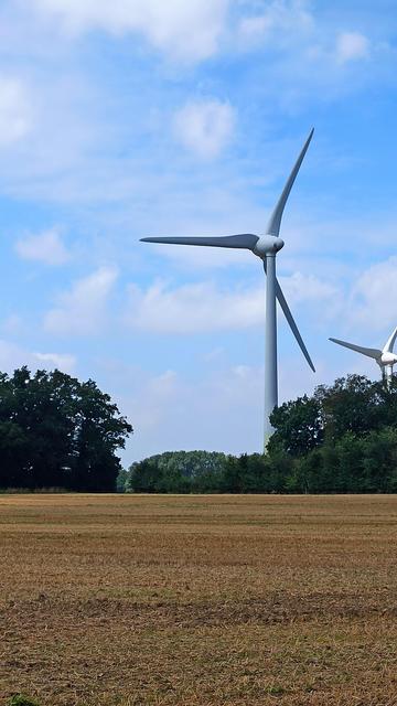 Ein Feld im Vordergrund. Weiter hinten eine Baumreihe mit zwei Windrädern