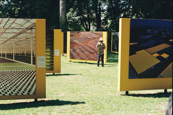 An outdoor art exhibition showcases large-scale photographs of modern agriculture and industrial landscapes, blending natural surroundings, striking images of human-altered environments and a person in the back looking at one image.