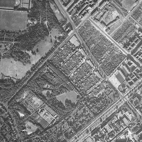 Der ausschnitt aus einem schwarzweissen luftbild vom 11. oktober 1959, 11:39:45 uhr, zeigt in der mit­te den ausgeführten teil der siedlung jungfernheide (etwa ein drittel der planung; bau­pha­se 1: entwurf Her­mann Dernburg, bauzeit 1920–1922; bau­pha­se 2: bau­zeit 1924–1926). An ihrem östlichen rand liegen die vier blöcke der wohnanlage an der afrikanischen strasse (entwurf Ludwig Mies, bauzeit 1925–1927).

Links oben im bild ist ein teil des volksparks rehberge an der transvaalstrasse zu sehen.

Links unten im bild liegt der goethepark auf dem grösseren teil der fläche, die für die siedlung jungfernheide vorgesehen war. 

Rechts oben im bild steht die gerade erst gebaute anna-lindh-schule.

Den bildflug führte das unternehmen aero exploration gmbh aus frankfurt am main durch. Dabei wurde eine reihen­mess­ka­me­ra des typs zeiss aerotopograph RMK 21/18 eingesetzt.

Quelle: Geoportal Berlin, Luftbilder 1959, Masstab 1:10.000, Nr. 235. Datenlizenz: dl-de/by-2-0. Volltext: www.govdata.de/dl-de/by-2-0. Wir haben das originalfoto projektiv entzerrt.