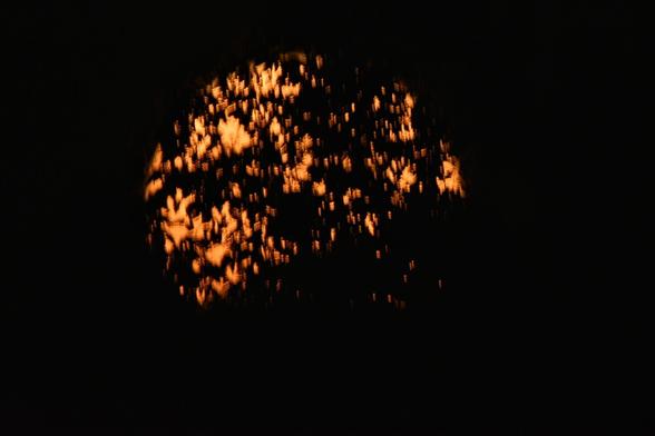 The full moon blurry behind silhouette leaves.