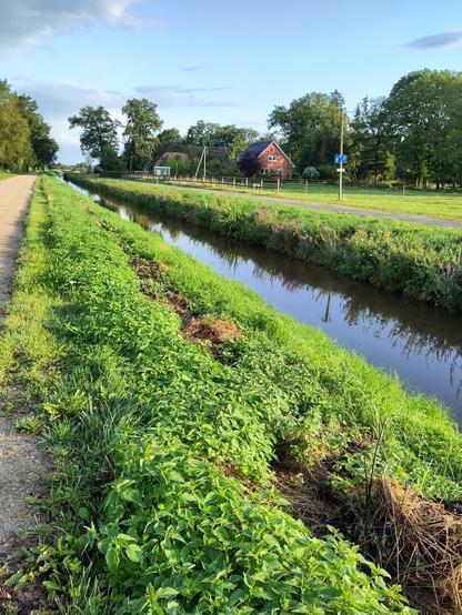 Wasserkanal, an dem ein Sandweg entlang führt.